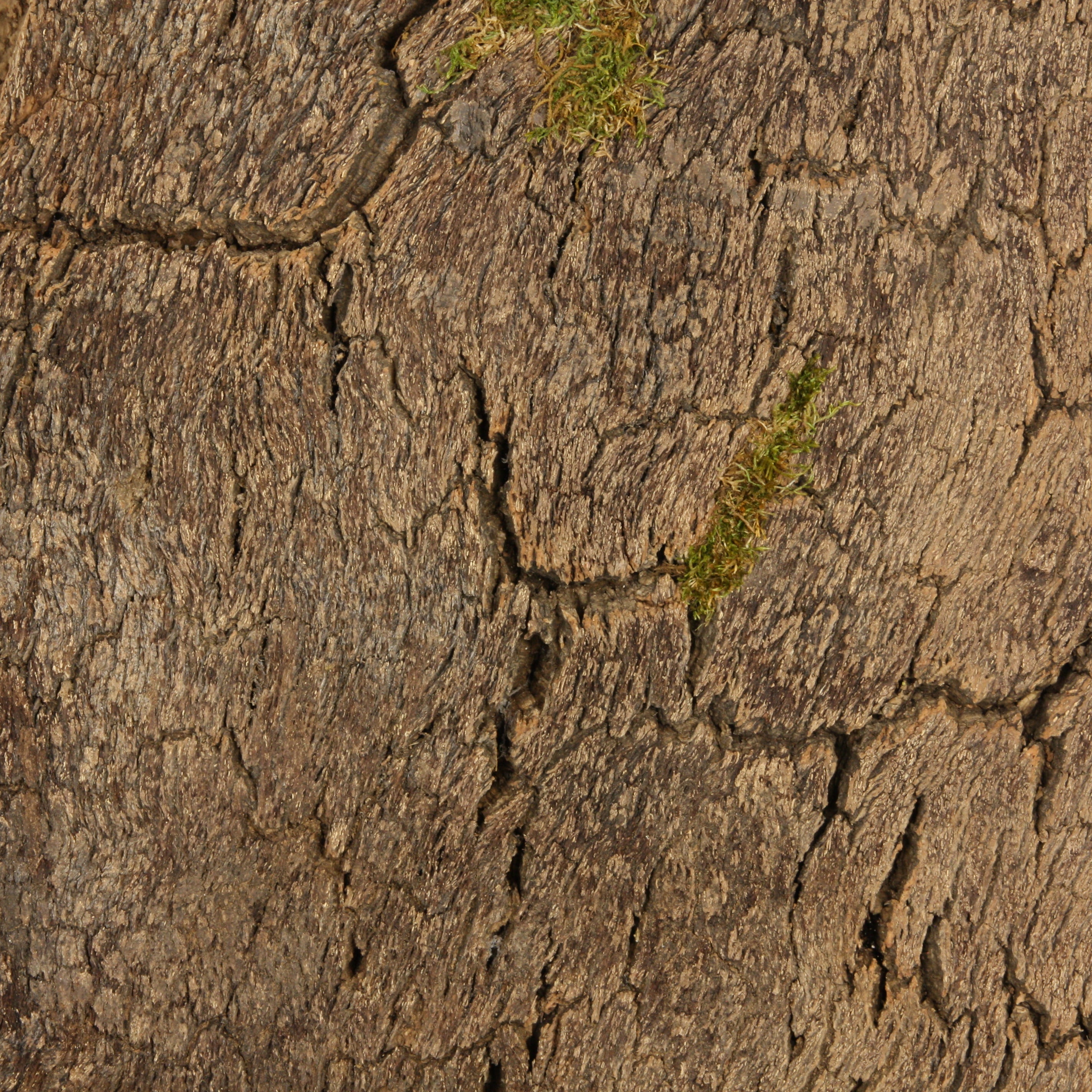 verKORKst Premium Windlicht aus Kork * absolutes Unikat * über 40 Jahre alte Korkrinde * einzigartiger Kerzenständer