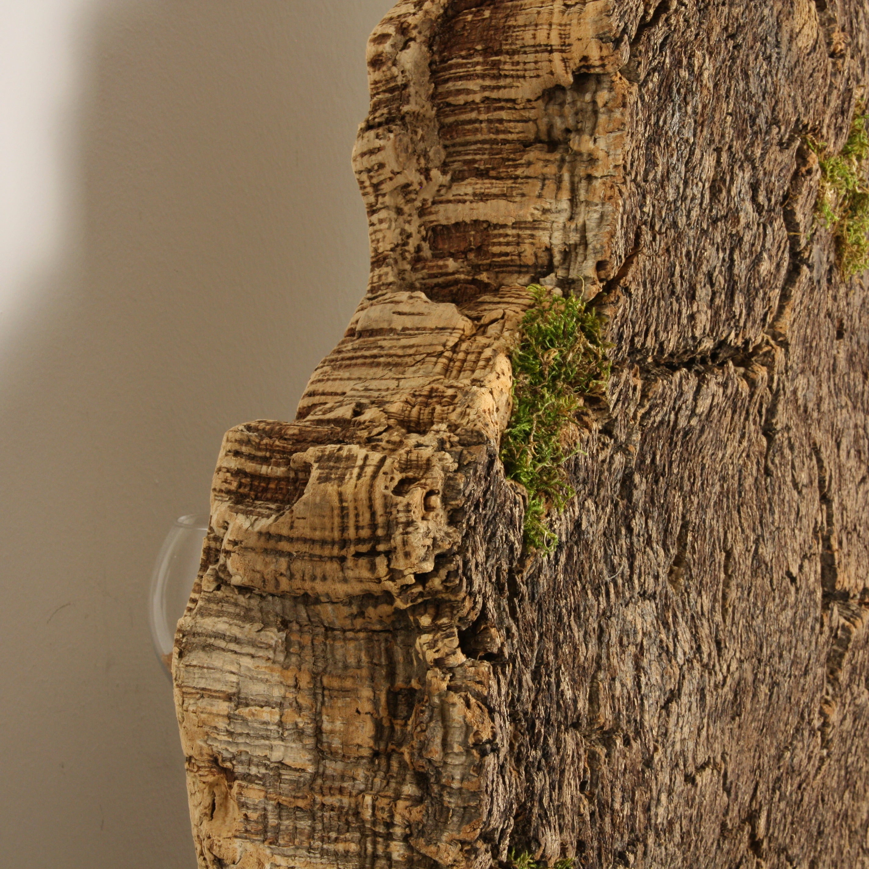 verKORKst Premium Windlicht aus Kork * absolutes Unikat * über 40 Jahre alte Korkrinde * einzigartiger Kerzenständer