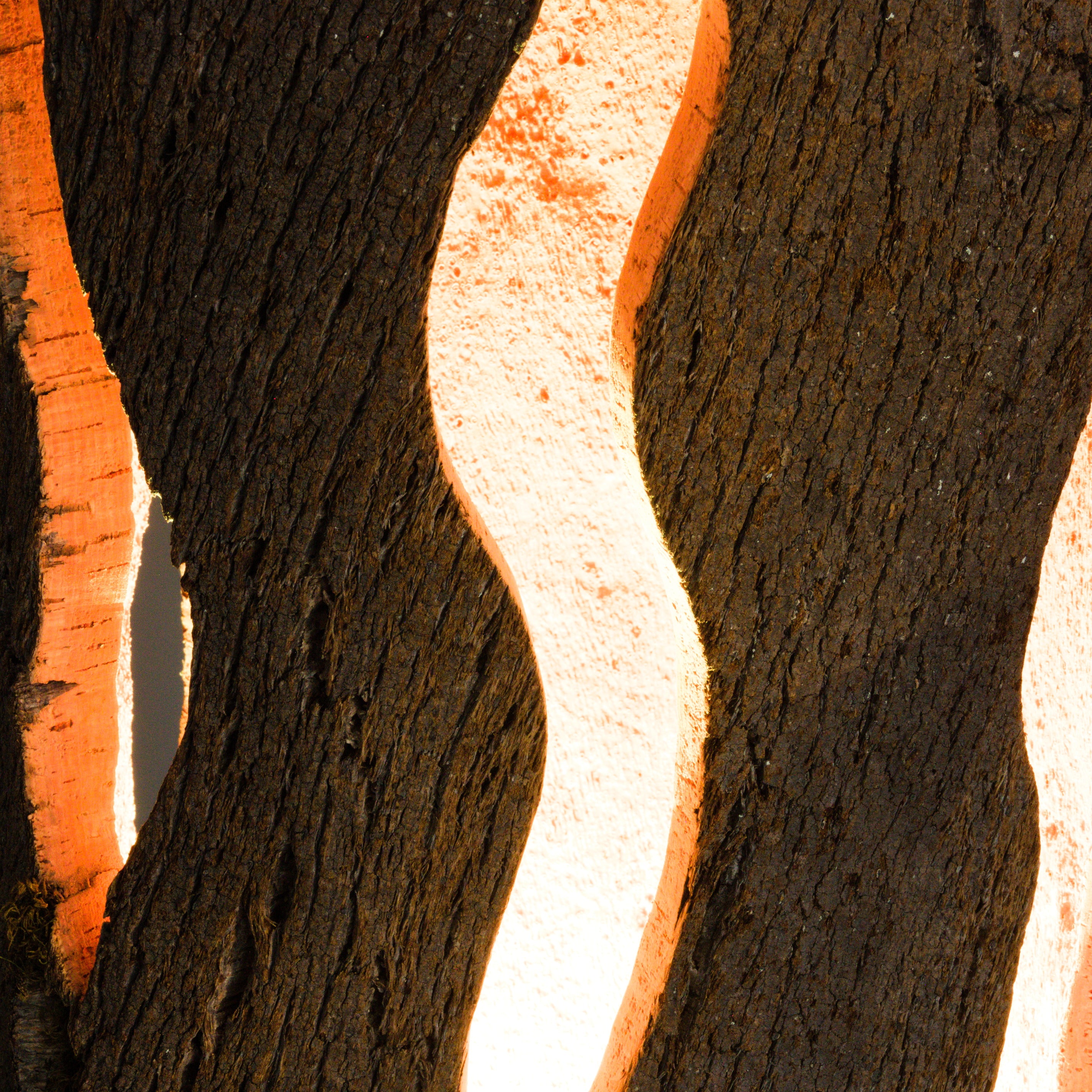 verKORKst Premium Stehlampe aus Kork * XXL Wohnzimmerlampe * Vintage Stand LED-Leuchte * handgefertigt in Deutschland
