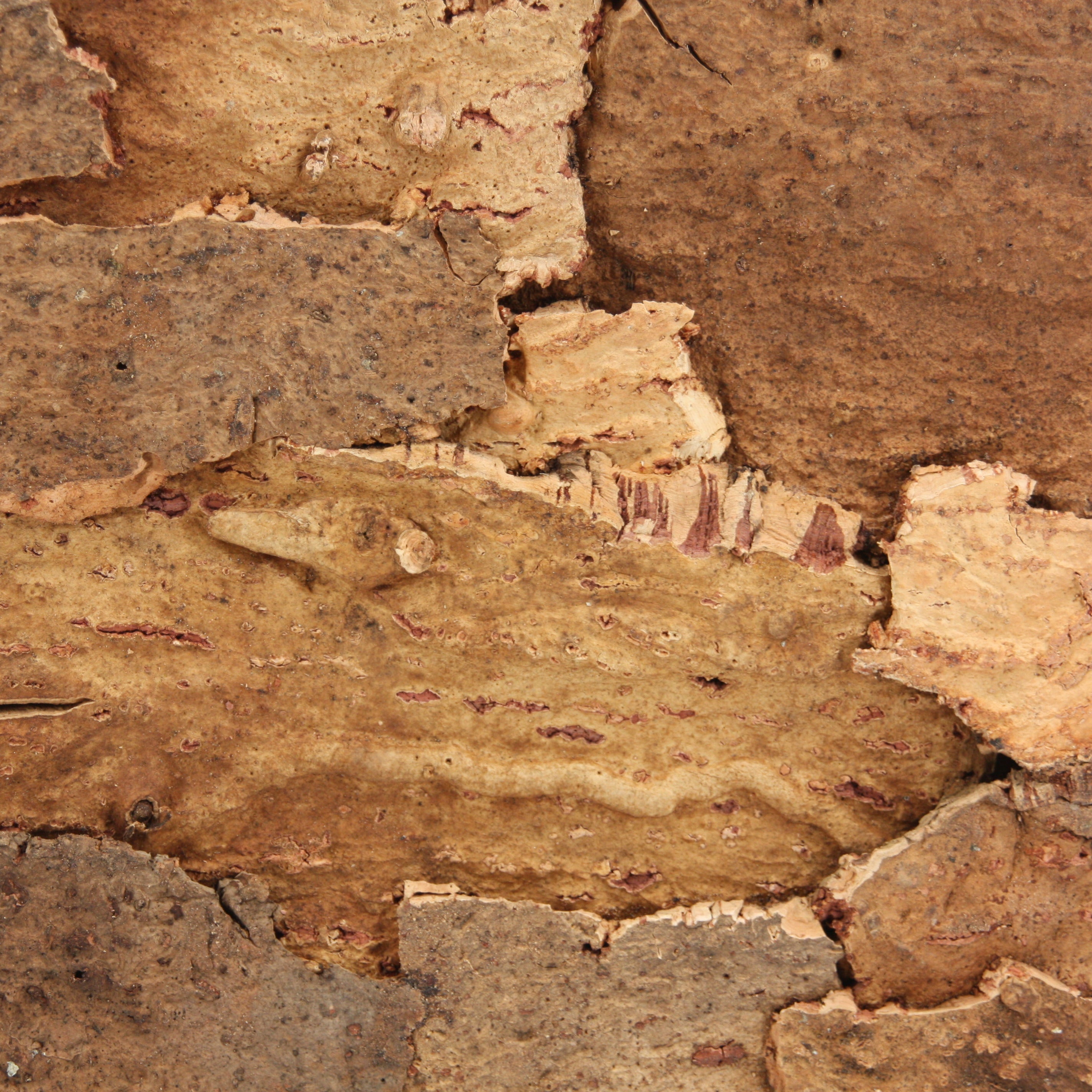 verKORKst Premium wall tiles made of cork bark * from EUR 186 per sqm * Wall cladding 3D look * Wall panels made of cork * Wall decoration * Cork tiles