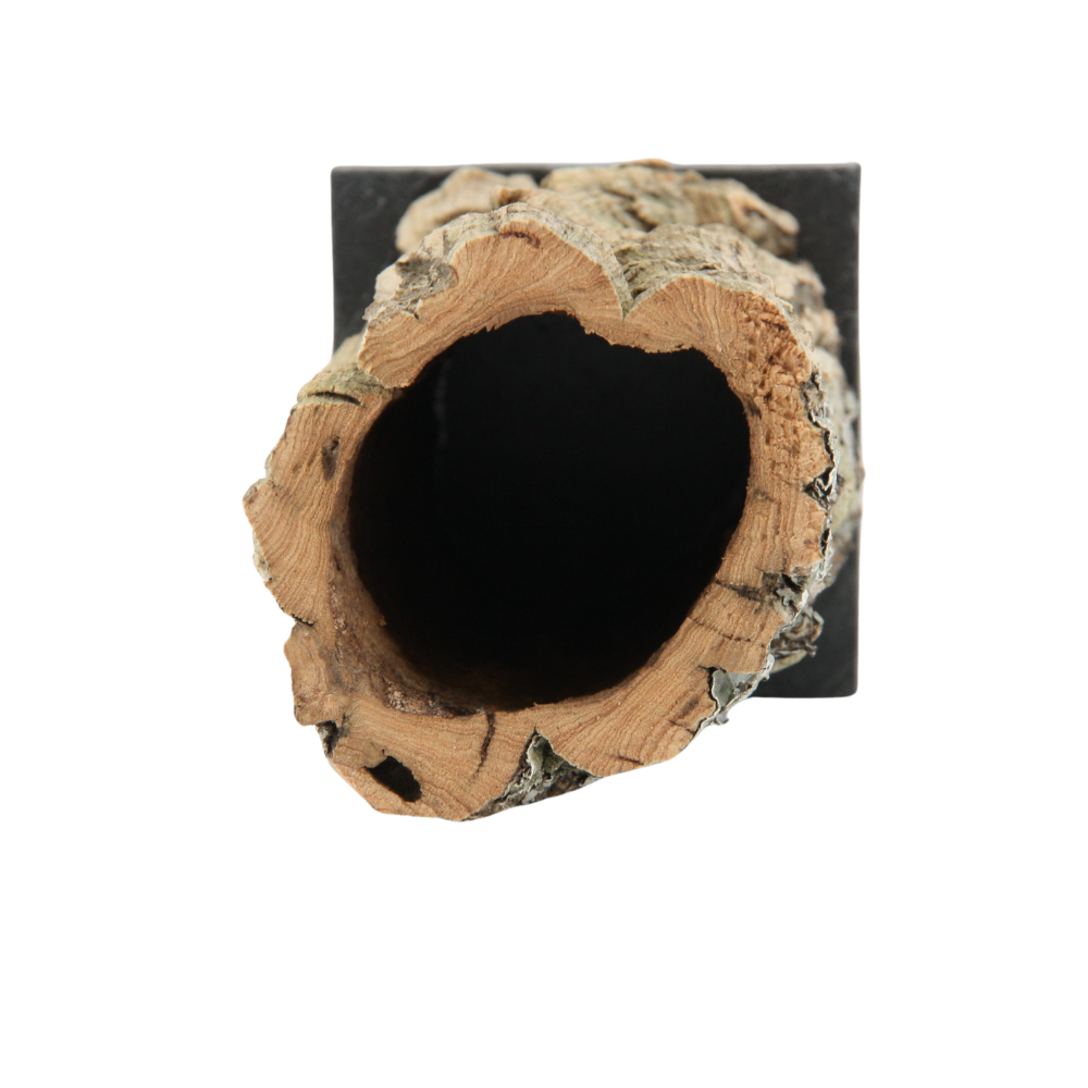 Zahnstocherhalter aus Kork * Stifthalter aus Kork * 2 Größen * Deko für Tisch und Schreibtisch * handgefertigt in Deutschland