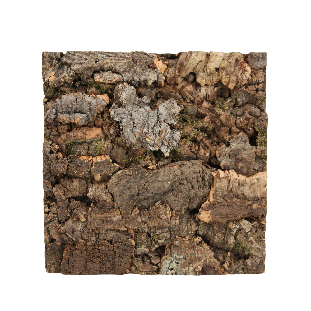 verKORKst Premium wall tiles made of cork bark * from EUR 186 per sqm * Wall cladding 3D look * Wall panels made of cork * Wall decoration * Cork tiles