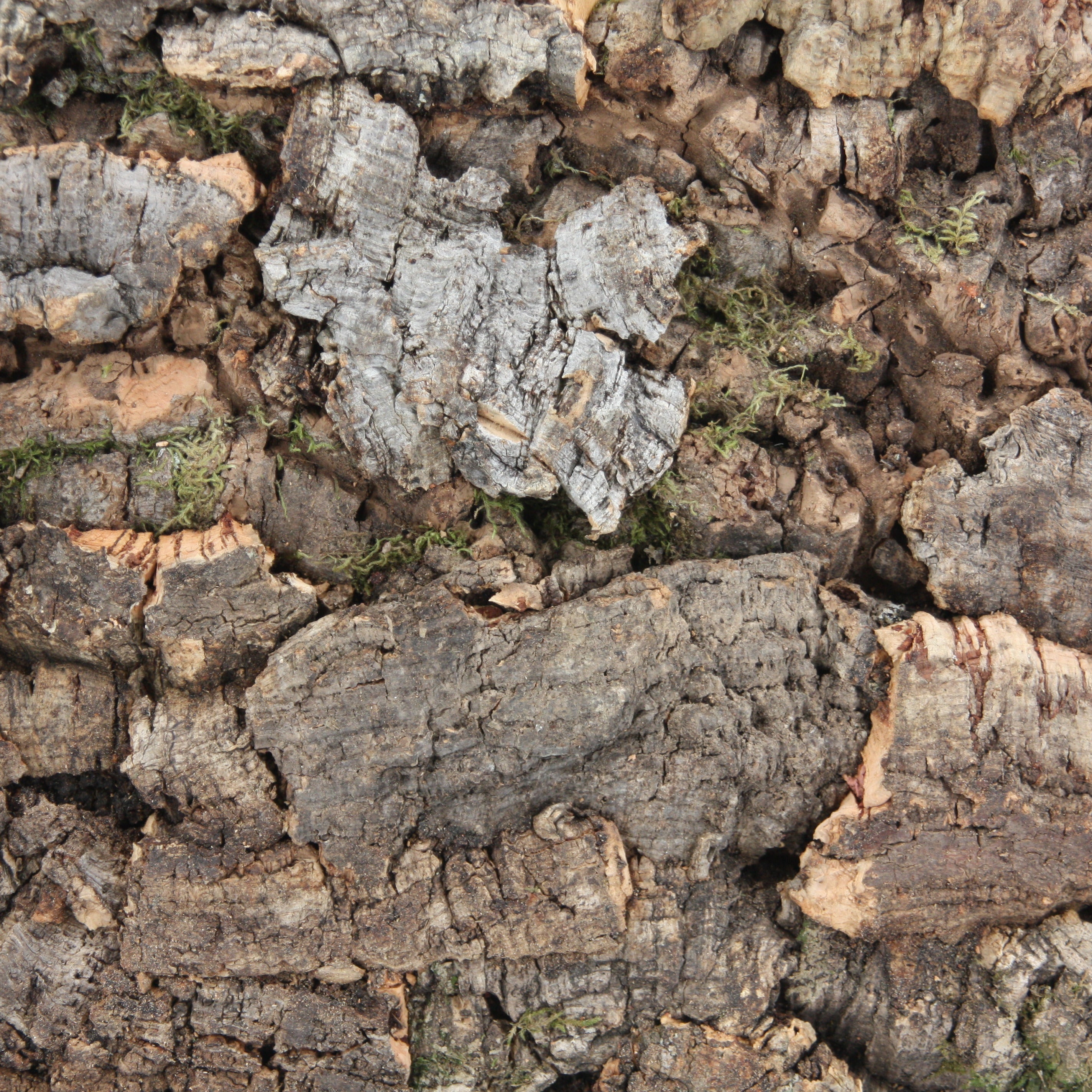 verKORKst Premium wall tiles made of cork bark * from EUR 186 per sqm * Wall cladding 3D look * Wall panels made of cork * Wall decoration * Cork tiles