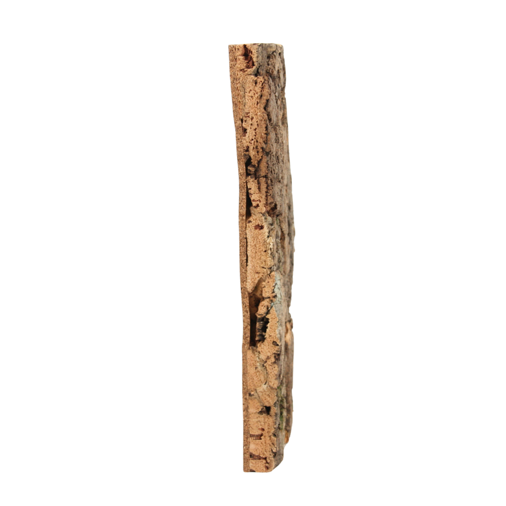 verKORKst Premium wall tiles made of cork bark * from EUR 186 per sqm * Wall cladding 3D look * Wall panels made of cork * Wall decoration * Cork tiles