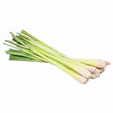 verKORKst Premium Kräuter für Kräuterdampfofen * Lemongras BIO getrocknet 0,5 kg * natürliche Bio Kräuter