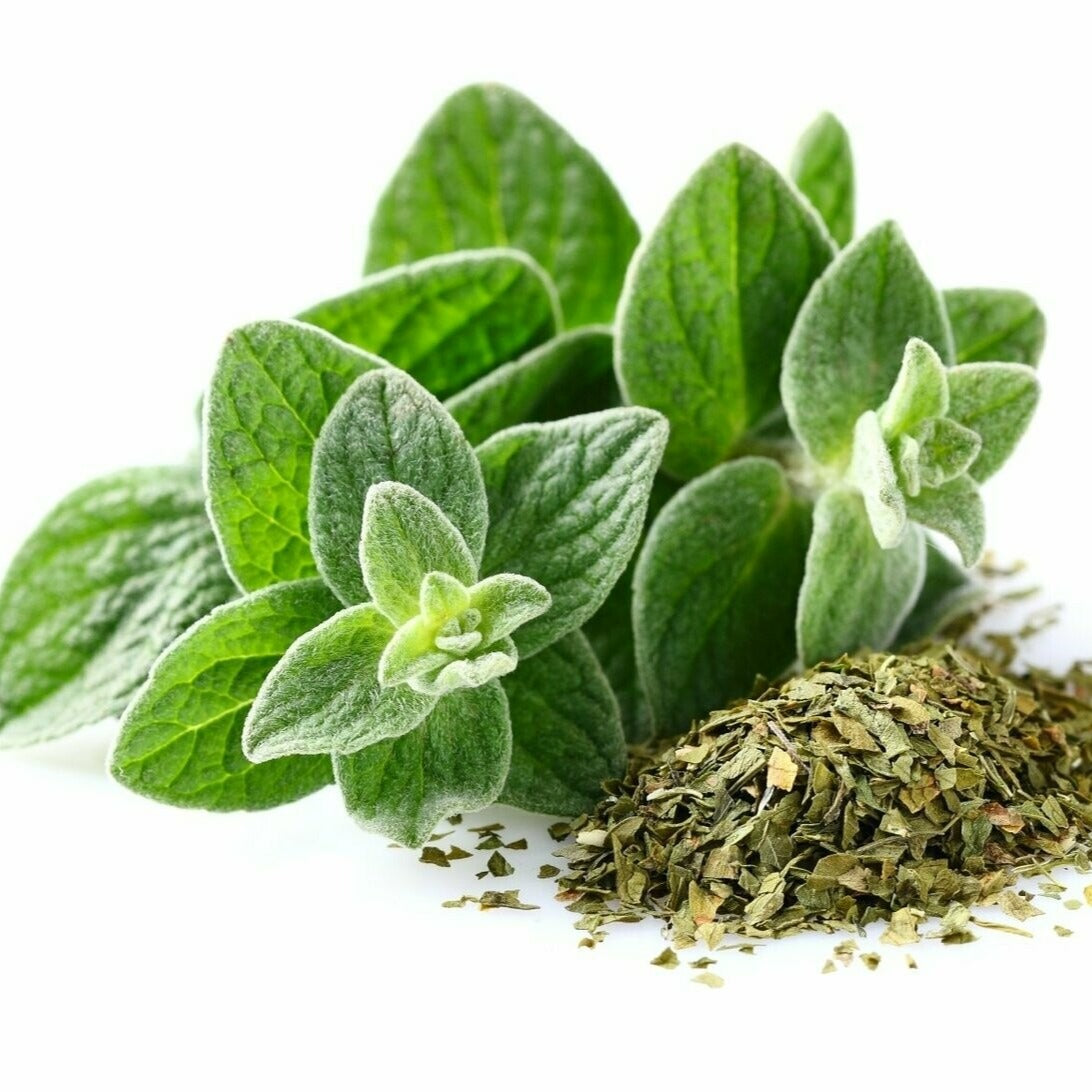 verKORKst Premium Kräuter für Kräuterdampfofen * Oregano BIO getrocknet 0,5 kg * natürliche Bio Kräuter