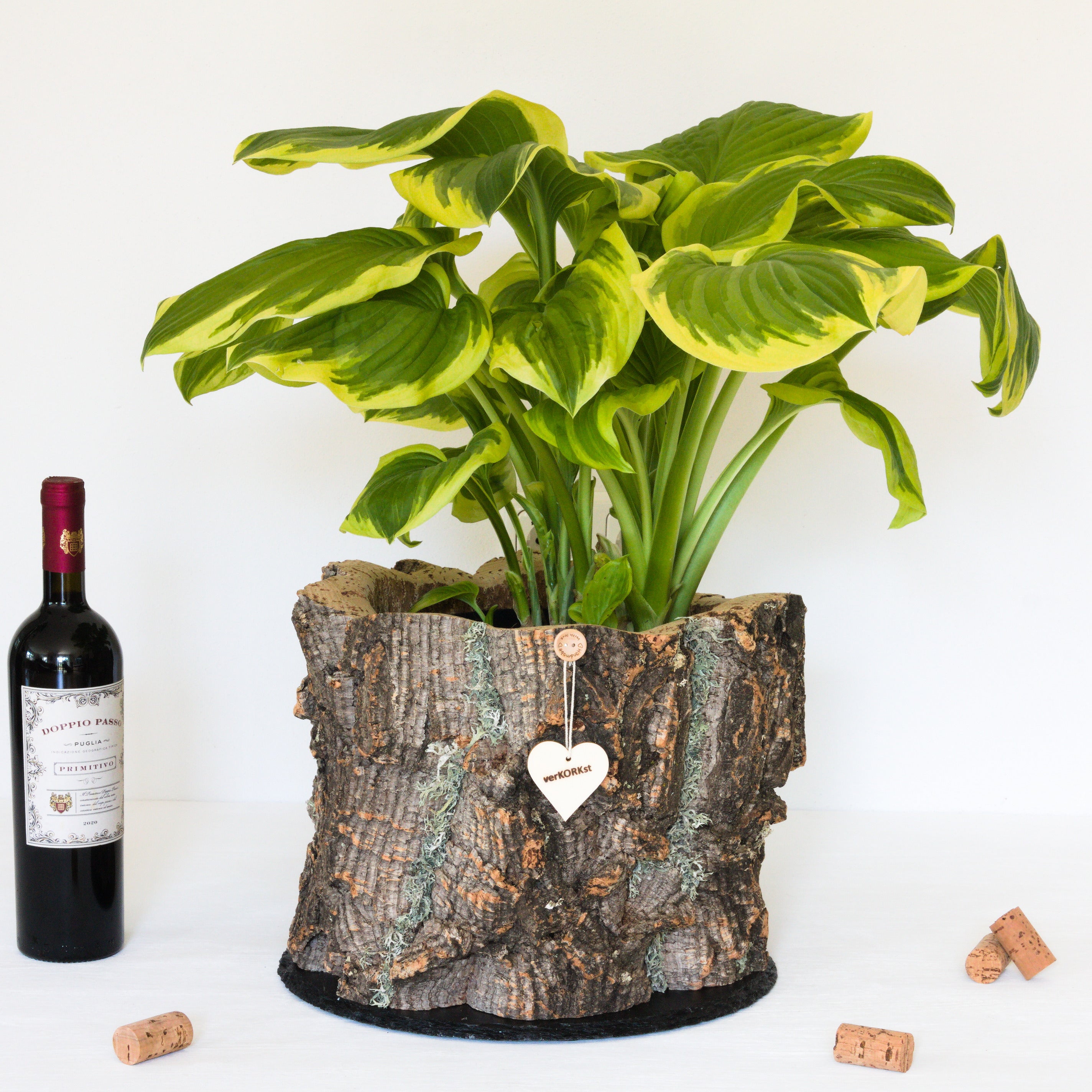 VERKORKst premium plant pot made of cork bark * rustic herb pot * vintage flower pot for the kitchen, living room, garden and balcony